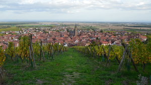Serrurier Lingolsheim